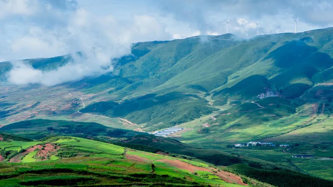兩會時間 | 新希望集團、永好鄉村振興公益基金會聯...