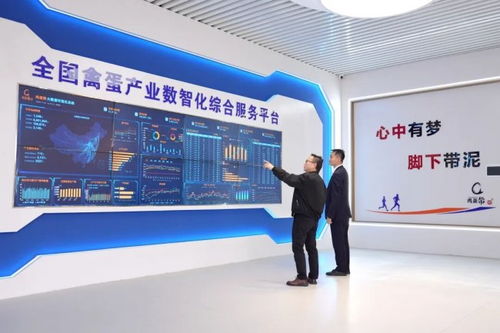 蛋生數智夢，科技孵未來 金融賦能農業科技蝶變